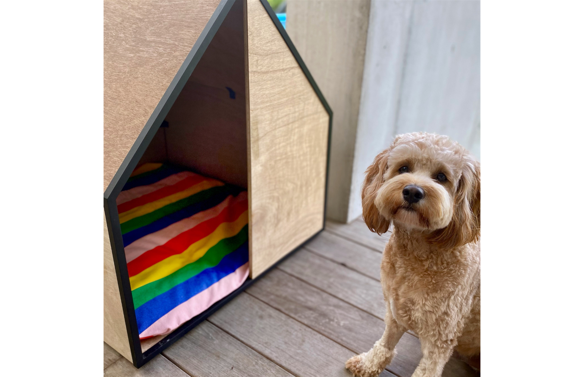 The dog house that does good